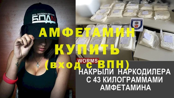 сатива Балахна