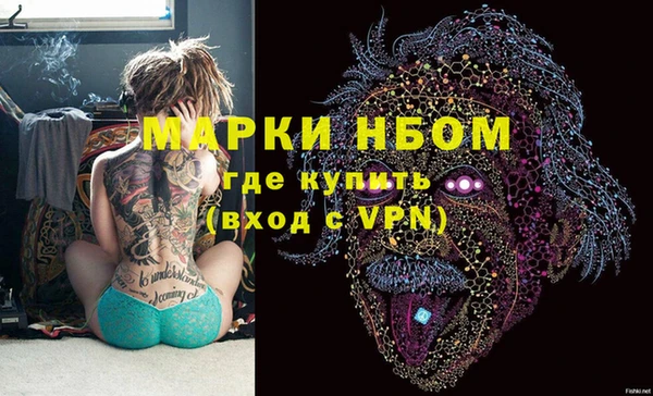сатива Балахна