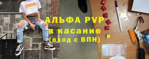 сатива Балахна