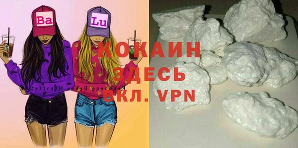сатива Балахна